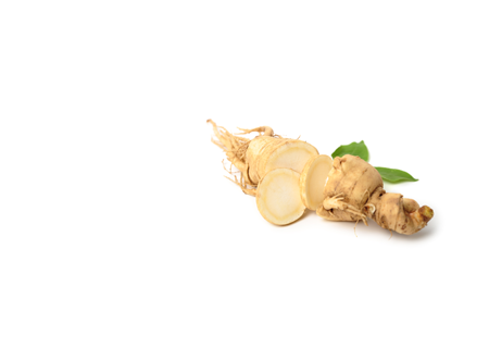 GINSENG EXTRACT - HERO INGREDIENT - Rich in antioxidants, Ginseng extract shields the skin against free radical damage, preventing premature aging. - MILVANI HOLISTIC SKINCARE AND SPA