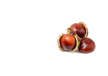 HORSE CHESTNUT - HERO INGREDIENT - It enhances skin circulation, offering anti-inflammatory benefits to soothe irritation and inflammation. The incorporation of horse chestnut aids in reducing swelling and puffiness. - MILVANI HOLISTIC SKINCARE AND SPA