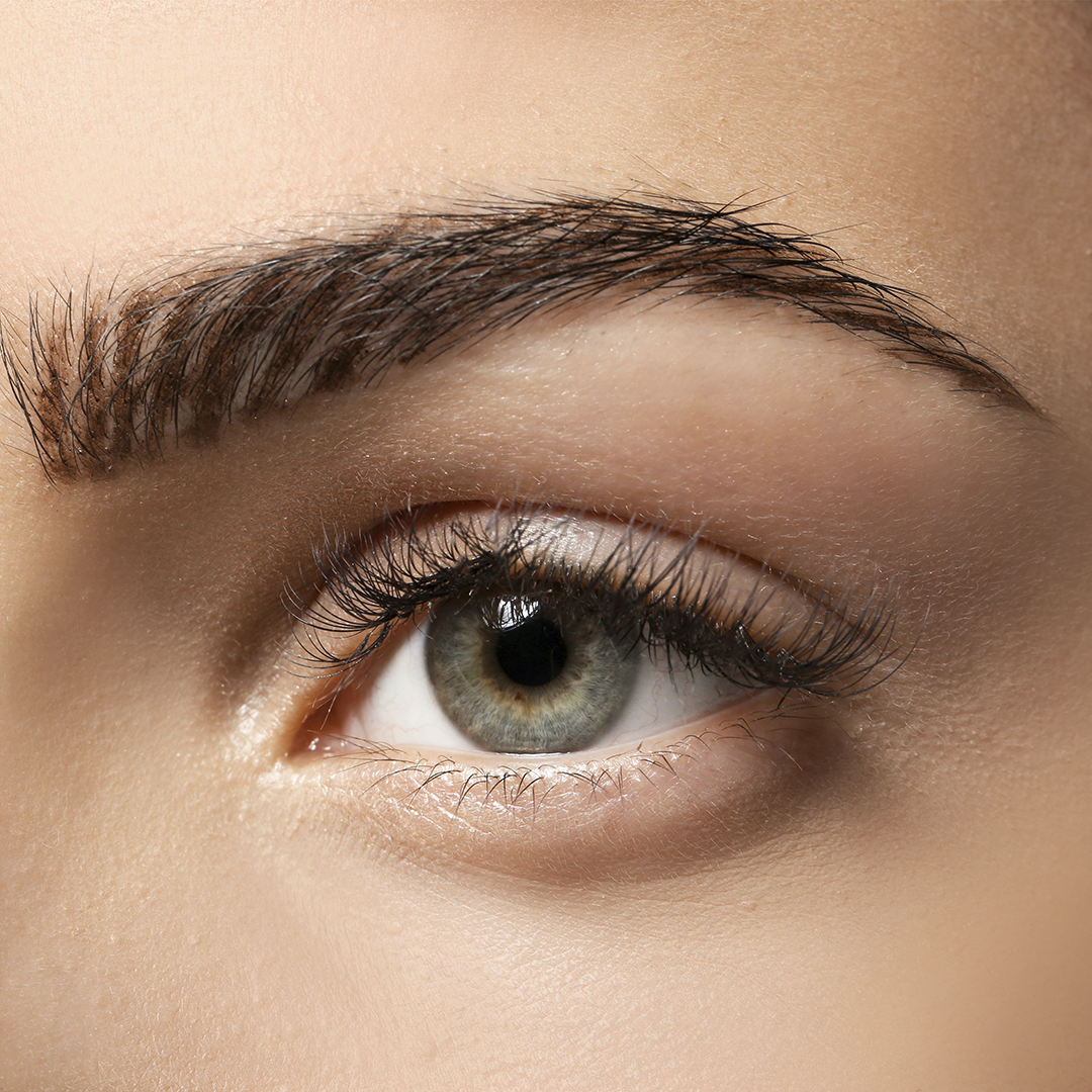 Natural European lash and brow tint. Professional tinting allows the specialist to manipulate the brow area by darkening the fine hairs to increase the width. It also allows the specialist to darken the fine hairs in the inner core of the brow in less dense areas, creating a more ideal shape and longer brow line. | MILVANI HOLISTIC SKINCARE