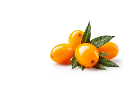 SEA BUCKTHORN OIL - HERO INGREDIENT - This oil is packed with antioxidants, flavonoids, beta-carotene, vitamins C and E, which help to protect the skin from free radical damage and prevent premature aging.  - MILVANI HOLISITC SKINCARE NORTHFIELD ILLINIOS